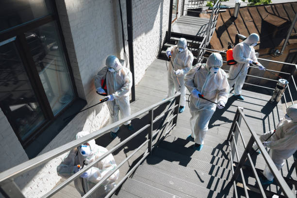 Mold Odor Removal Services in Snellville, GA